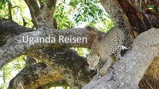Uganda Reisen mit travel-to-nature