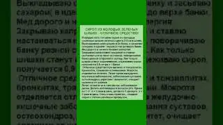Сироп из молодых зеленых шишек 