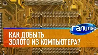 Галилео 💻 Как добыть золото из компьютера?