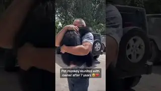 Monkey reunites with owner after 7 years😭 #monkey #shorts