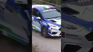 cork forest rally 2024
