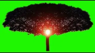 TREE ANIMATION green screen | ALL IN-SERIES.