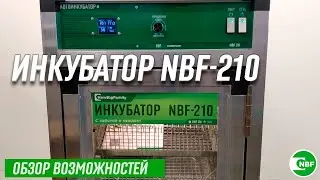 Инкубатор NBF-210