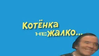 КОТЁНКА НЕ ЖАЛКО... [Ералаш RYTP 5]