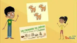 Le circuit de distribution