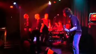 holotype live 