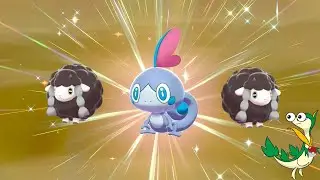 Shiny Reaction To Sobble and 2 WOOLOO!