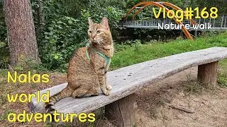 Nala exploring Ahja River Valley 😻 Vlog #168