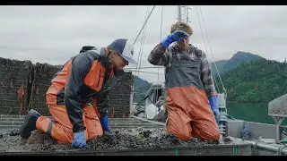 I AM XTRATUF | Alaska Shellfish Farms