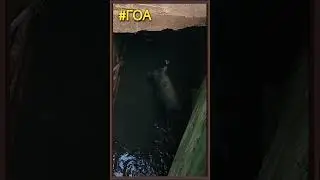 СВИНЬИ НА КУРОРТЕ #шортс #гоа #индия