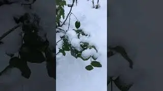 Не перед кем не вставай на колени, кроме Бога!..📖💖🕊