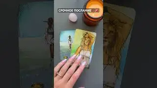 ОЧЕНЬ ВАЖНО УСЛЫШАТЬ СЕЙЧАС 💔🙏🏼 #таро #таронабудущее #tarot #общийрасклад #раскладтаро