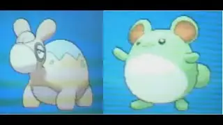 Catching Shiny Numel and Marill Pokemon Alpha Sapphire PSP Vid