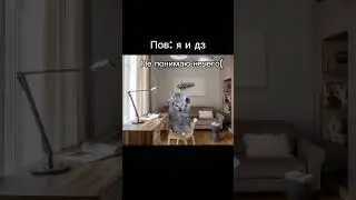 Видео РОФЛ!!! #shorts #short #memes #meme #cat #кот #коты #мем #мемы
