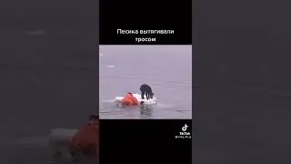 Поступок по TLMC