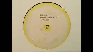 Ravelab - Seeing Is Believing