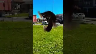 Try to catch me 😂 