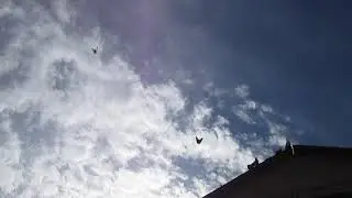 27 августа пос новоэкономическое