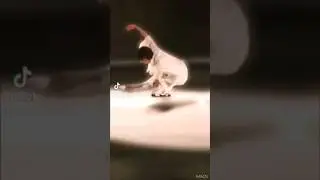 Hanyu Yuzuru - Danny Boy Hydroblade #yuzuruhanyu #羽生結弦 #shorts