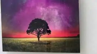 Lonesome Tree Metal Print Wall Art on Chromaluxe