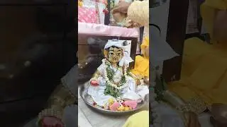 Golu ka MAHA Abhishek 🌸🙏🏻#makhanchorgopinath