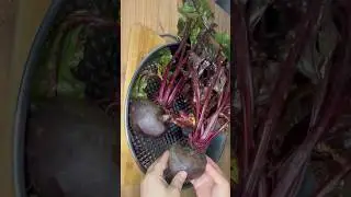 Pancarı hiç bu şekilde denedinizmi #yemek #nefisyemektarifleri #yemektarifleri #shortvideo #shorts
