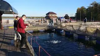 Женя ловит форель