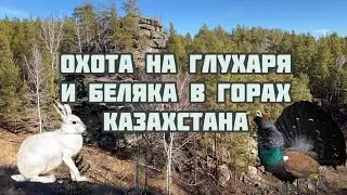 Охота на глухаря и беляка в горах .