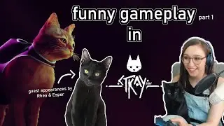 I Played Stray with My Kitten (part 1)