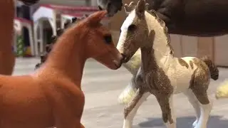 Friends and Family Episode 3 | Schleich music video