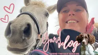 YARD VLOG| SPEND THE DAY WITH AN AMATEUR EQUESTRIAN - DRESSAGE, SHOWING, HORSEY DAY