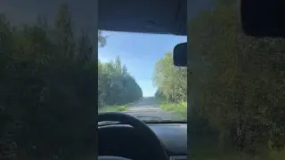 Как не стоит собираться в деревню за 500км. Все делаем в последний день. #влог #деревня #лайфблог