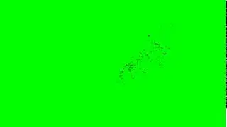 Arm disintegration green screen