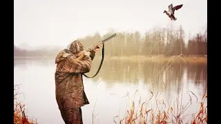 Осенняя охота на утку! Удачный выезд! Есть трофеи. Красивая осенняя природа