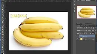 Text Tool   Size and Warp