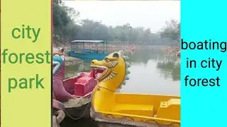 i enjoyed to city forest with my children | city forest ghaziabad | very interesting place