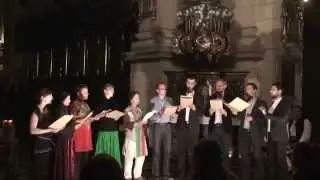 Sabodisho (Batonebo) & Tskhenosnuri საბოდიშო და ცხენოსნური
