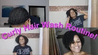 Taking Out 2 Month Old Braids| Natural Curly 4C Hair Wash Routine!