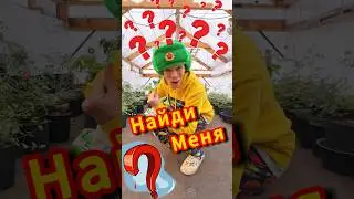 Найди Меня Если Сможешь / У Тебя 3 Попытки 