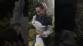 Грибы боровики