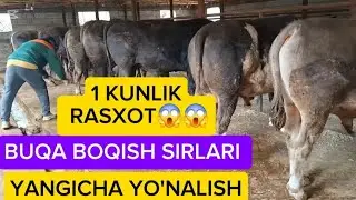 BUQA BOQISH SIRLARI YANGI YO'NALISHI 😱😱😱