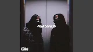 ALPACA