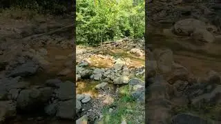 A very dry Horse Creek Greene County TN. #tennessee #horsecreek #easttennessee