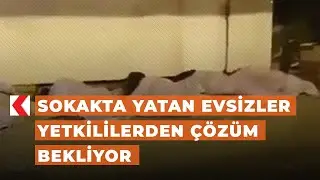Sokakta yatan evsizler yetkililerden çözüm bekliyor