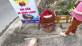 Quay Lại vs Đam Mê Chơi Chim Cảnh . Zalo 0982243535