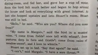 АНГЛИЙСКИЙ КЛУБ | ДОМАШНЕЕ ЧТЕНИЕ | СТЮАРТ ЛИТЛ | ГЛАВА 10, ПРОДОЛЖЕНИЕ