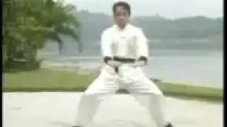 工字伏虎拳