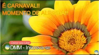 Carnaval tempo de Alegria_Enredo Samba #samba #mentecalma #autoestima #motivação #relaxar