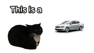 This is a Skoda