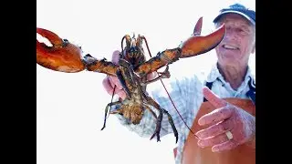 ЧАСТЬ 3: штат МЭЙН